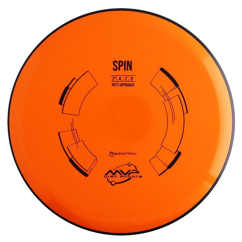 Neutron Spin